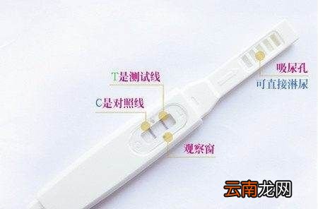 什么时候测怀孕最准确