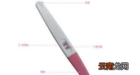 什么时候测怀孕最准确
