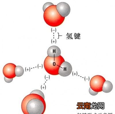 开水和凉水哪个先冻成冰块