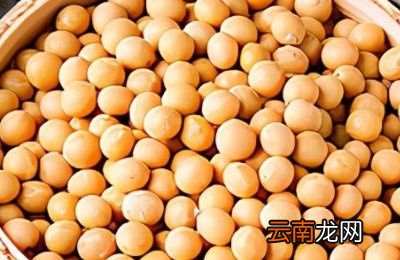破壁机做的豆浆可以过夜吗