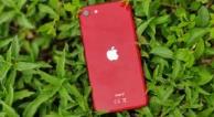 iPhoneSE的顶级机型被Apple淘汰了那么iPhoneSE3还在路上吗