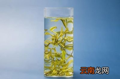 怎样做出好喝的冷泡茶