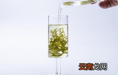 怎样做出好喝的冷泡茶