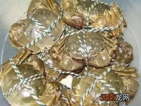 螃蟹冰箱冷冻能放几天