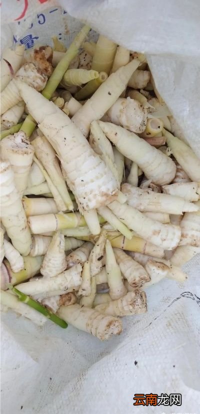 鲜竹笋与腊肉搭配味道怎么样呢