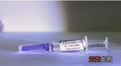 疫苗备孕期间到底能不能打