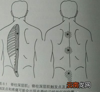 怎么来找到我们需要进行处理的压痛点