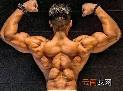 为什么大家都拼命吃鸡蛋而不愿意去吃豆腐呢