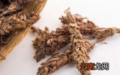 夏枯草为什么越来越少了