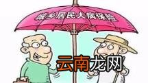 大病报销需要什么条件才能申请 2021年大病救助政策