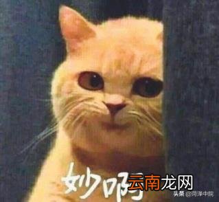 散布谣言的处罚及刑事立案标准 网上散布不实言论的处罚依据