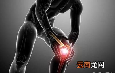 跑步还有哪些好处呢