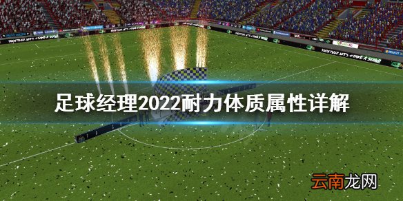 足球经理2022耐力体质怎么保持 耐力体质属性详解
