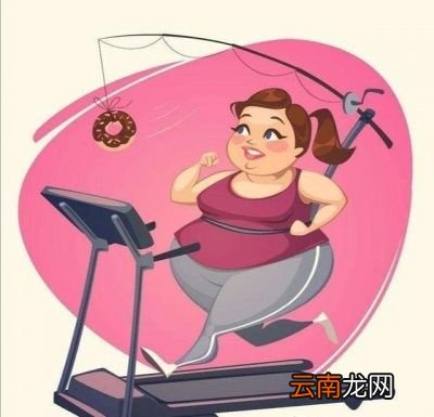 我们是如何长胖的减肥原理又是什么