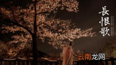 你听过哪些匪夷所思的故事