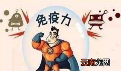 如何恢复提高免疫力