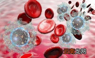 让我们有强大免疫功能的方法
