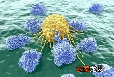让我们有强大免疫功能的方法