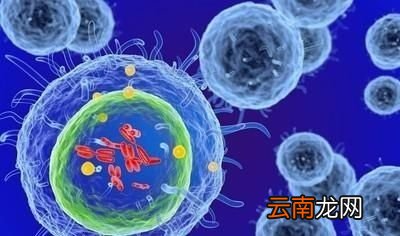 让我们有强大免疫功能的方法