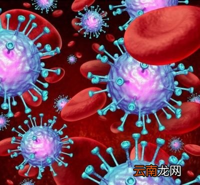 如何增强抵抗力