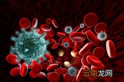 如何增强抵抗力