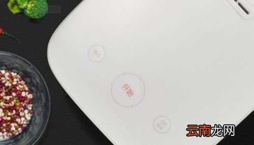 小米哪款电饭煲最好用