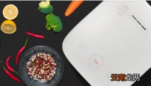 小米哪款电饭煲最好用