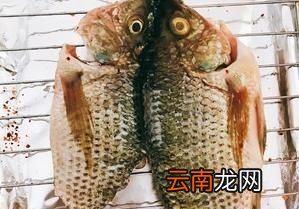 香喷喷烤罗非鱼的做法