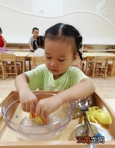 两岁的孩子应该会什么呢