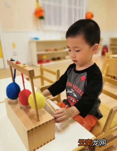 两岁的孩子应该会什么呢