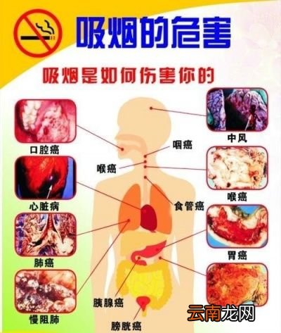 为什么心情不好时喜欢抽烟
