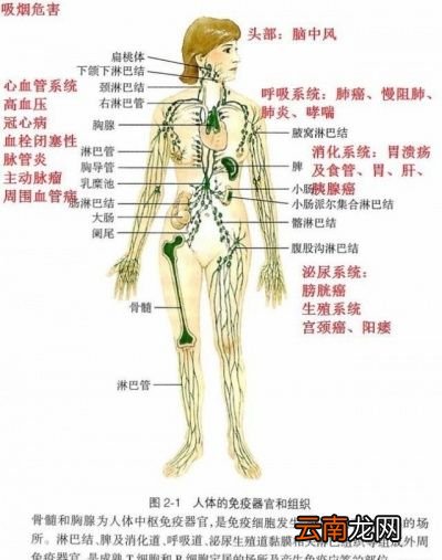 为什么心情不好时喜欢抽烟
