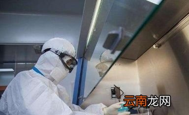核酸检测二维码在哪里找