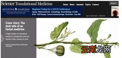 为什么肾上线不让肾友吃鱼腥草