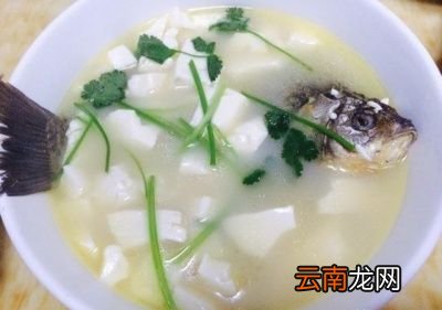 孕妇喝的鱼汤怎么煮