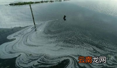 饮用纯水机对身体有害吗