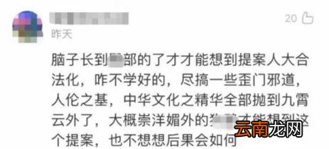 同性婚姻合法的国家 中国未来会允许同性合法吗