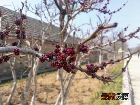 赡养老人的法律规定 农村老人赡养问题怎么解决