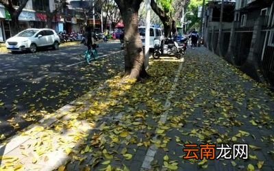 住宅楼层高低和房子噪音大小存在什么样的关系