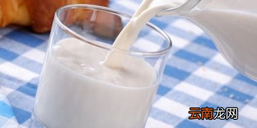 白酒和纯牛奶能一起喝吗