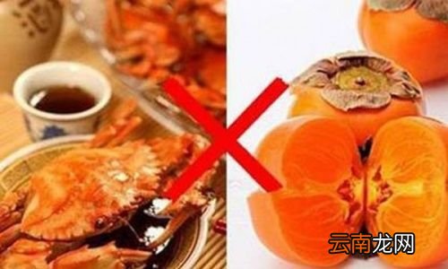 吃柿子长结石是真的吗