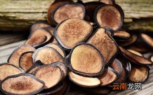 女人吃鹿茸有什么功效
