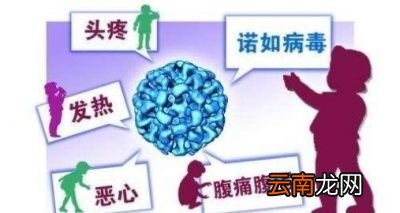 什么是诺如病毒呢