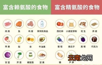 →病毒感染如何影响我们的健康