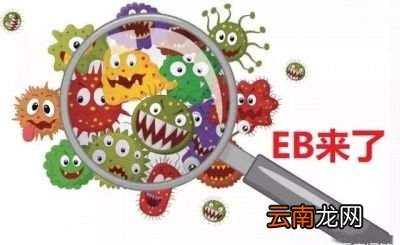 →病毒感染如何影响我们的健康