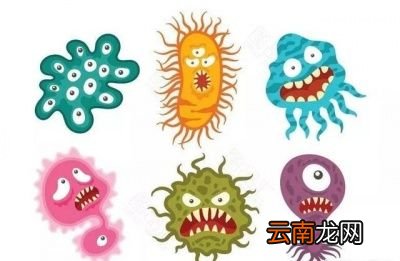 →病毒感染如何影响我们的健康