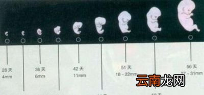 新型肺炎期刚怀孕可以去医院检查吗