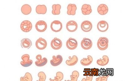 疫情期间怀孕6周要去医院吗