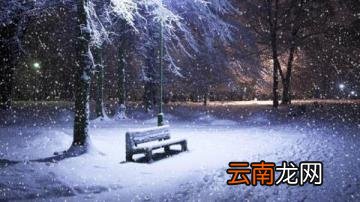 小雪节气吃什么食物好 小雪该如何养生及吃什食物
