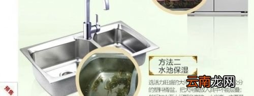大闸蟹放水里能活多久